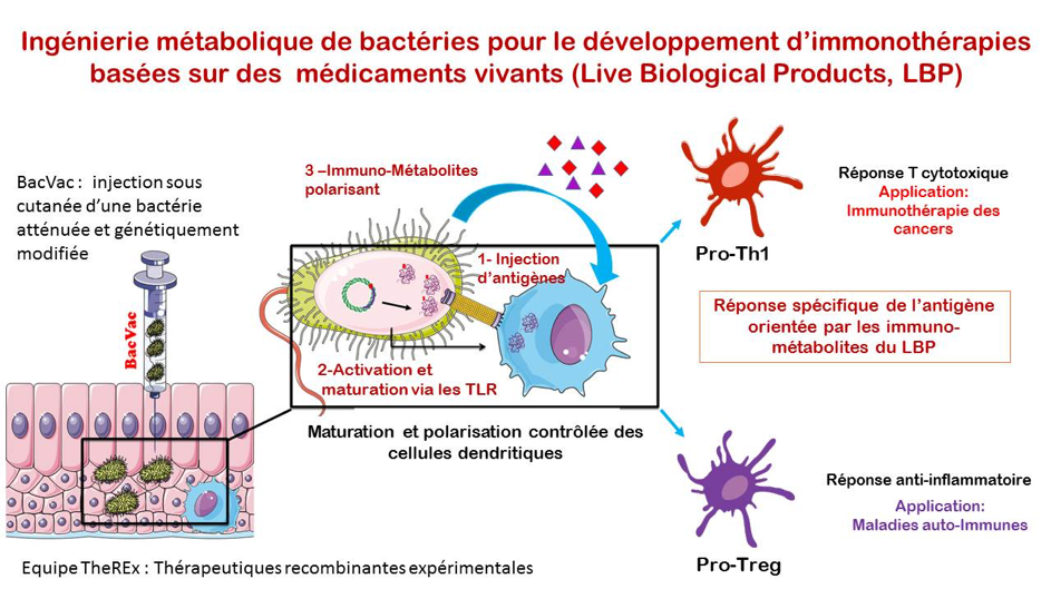 Image retir&eacute;e.