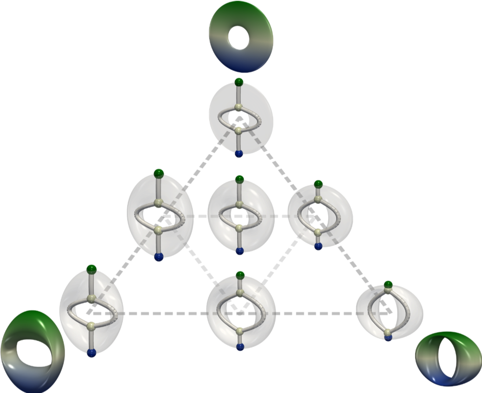 Schéma illustrant une famille paramétrée de tori (objets classiques en topologie, formes 3D en gris), représentée par un espace de graphes de Reeb (squelettes en blanc). TORI permettra de calculer ce type de signatures efficacement sur de grandes banques de données, mais également de mener des études statistiques avancées sur ces espaces d’objets topologiques. En pratique, ces avancées permettront aux utilisateurs de déceler rapidement des anomalies dans leurs banques de données ou au contraire d’identifier et de comprendre les motifs structurels récurrents.