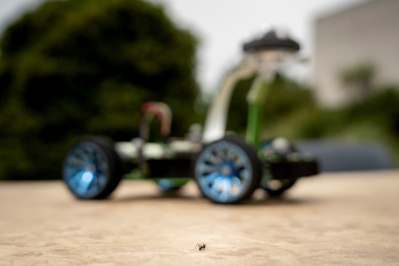 Robot Antcar et une fourmi