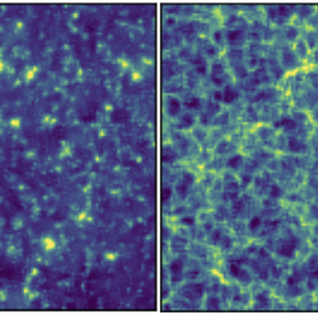 Des ondelettes à l’IA générative : les travaux de Stéphane Mallat, chercheur d’exception