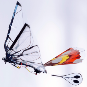 Vol oiseau robot papillon de Cyril Frésillon / ISM / CNRS Photothèque
